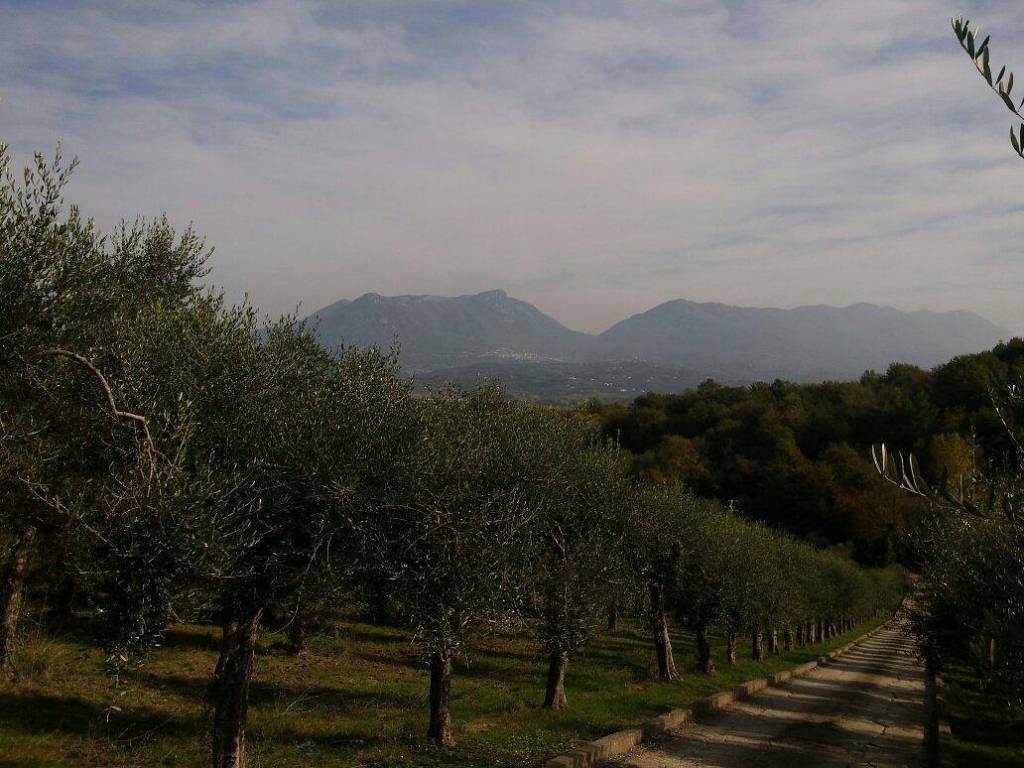 Rustico / casale a Castel campagnano - Foto 5