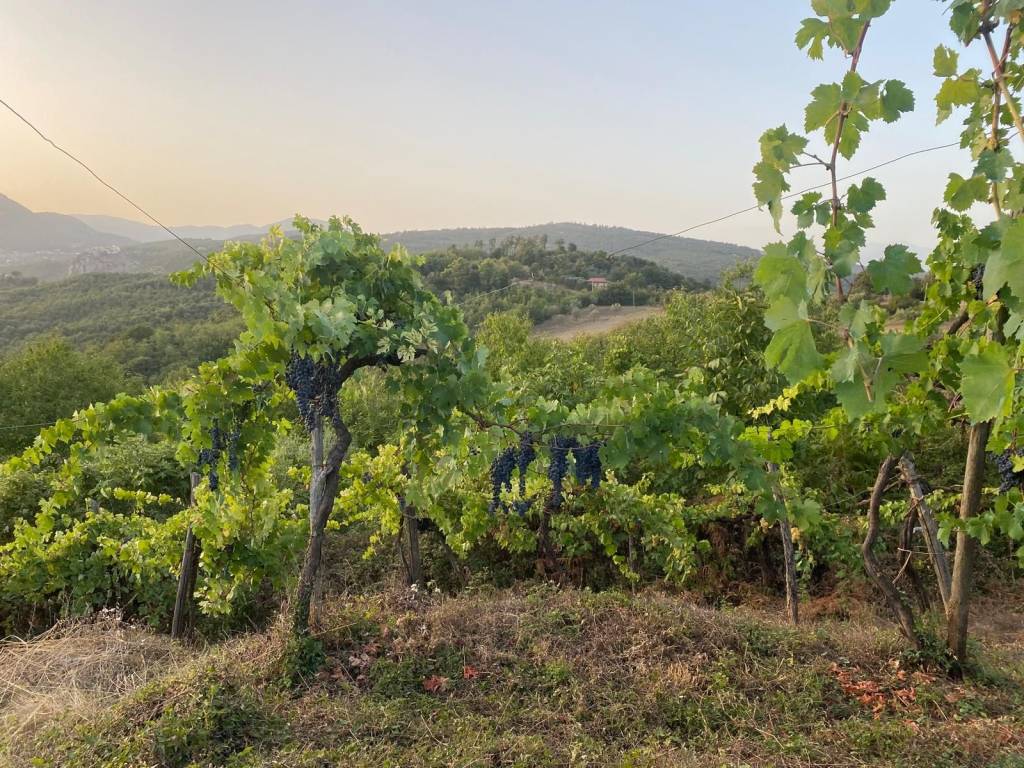 Rustico / casale a Piana di monte verna - Foto 4