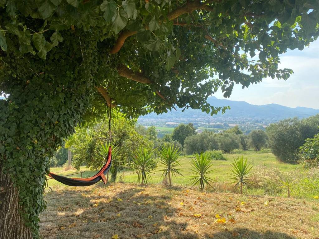 Rustico / casale a Alvignano - Foto 2