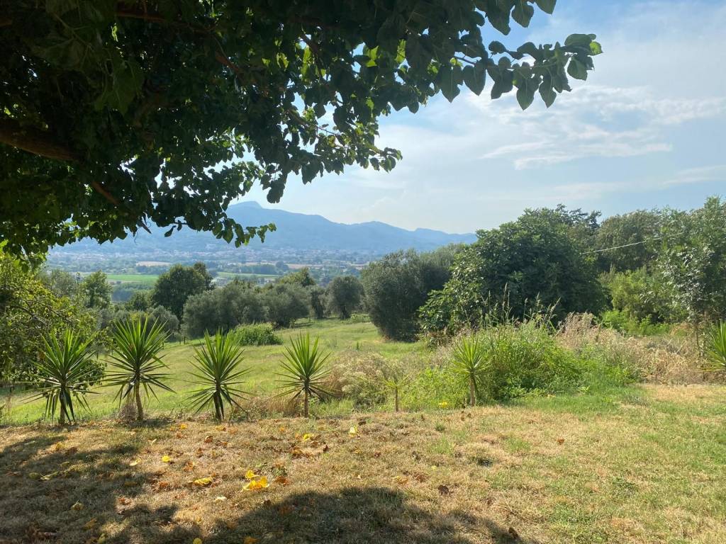 Rustico / casale a Alvignano - Foto 3
