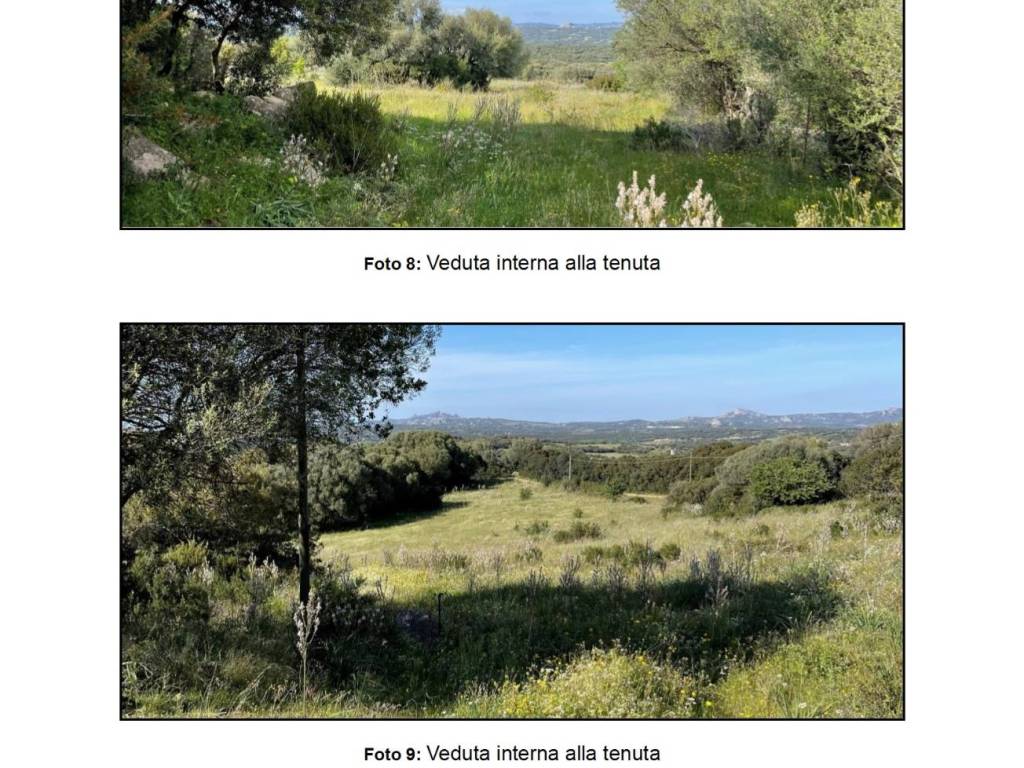 Terreno a Arzachena in Strada Provinciale per Luogosanto - Foto 4