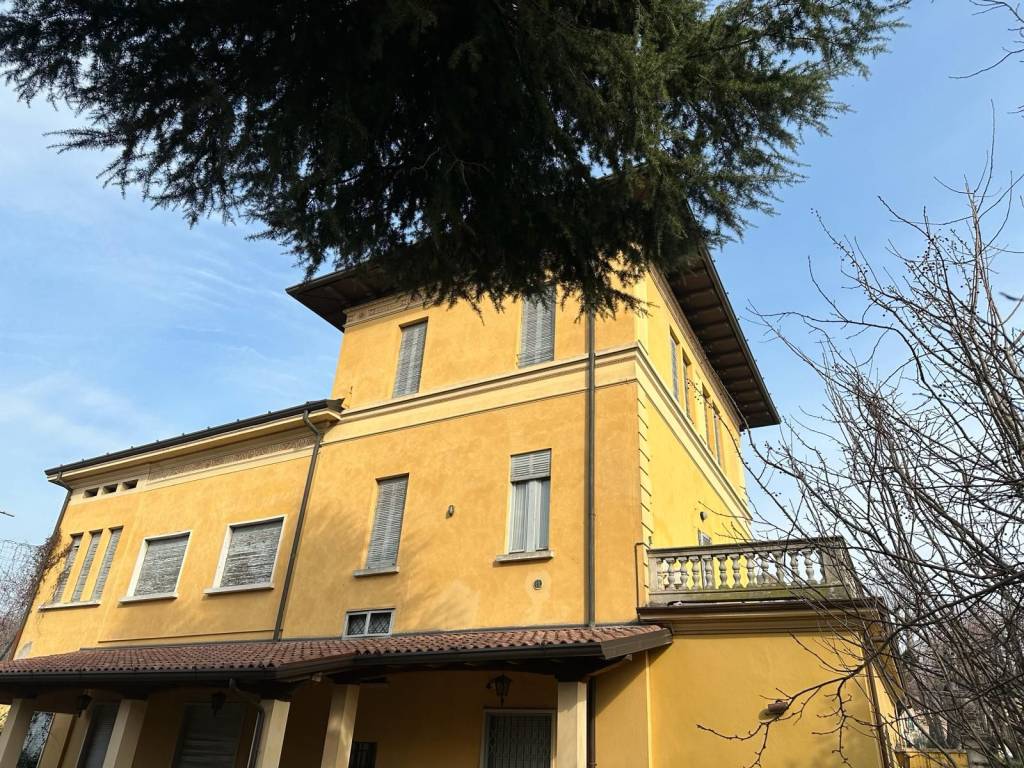 immagine di copertina