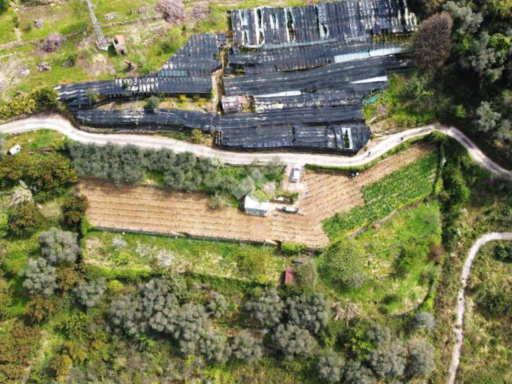 Terreno a Vallebona in Località ciaudauda - Foto 2
