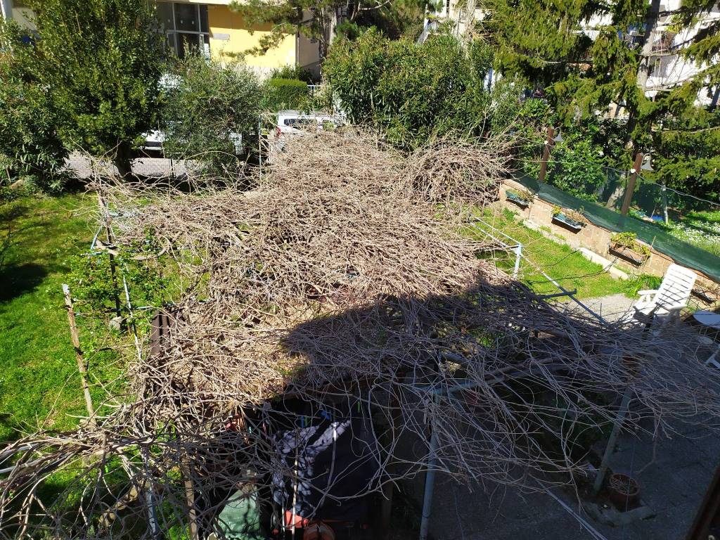 Villa a Muggia in Via Gabriele D'Annunzio - Foto 3