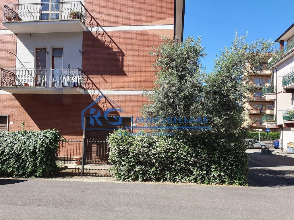 Appartamento a Bagnoregio - Foto 5