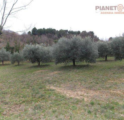 Terreno a San benedetto del tronto in Contrada Santa Lucia - Foto 2