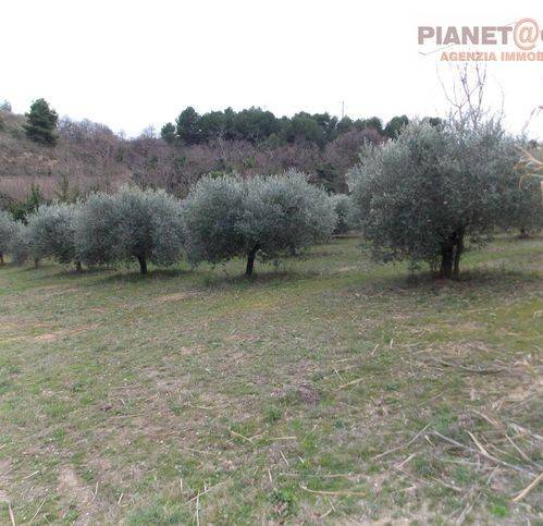 Terreno a San benedetto del tronto in Contrada Santa Lucia - Foto 3