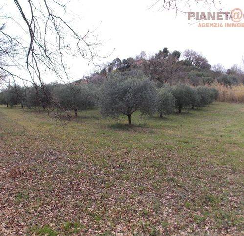 Terreno a San benedetto del tronto in Contrada Santa Lucia - Foto 4