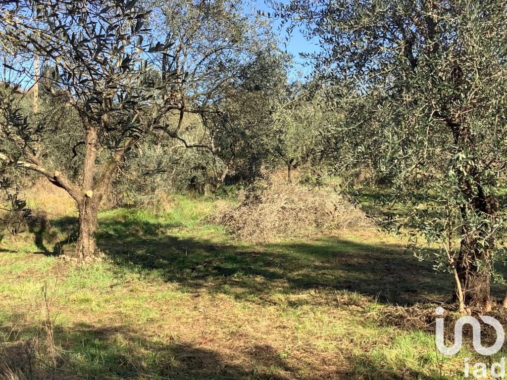Terreno a Pistoia in Via Via della Quiete - Foto 3