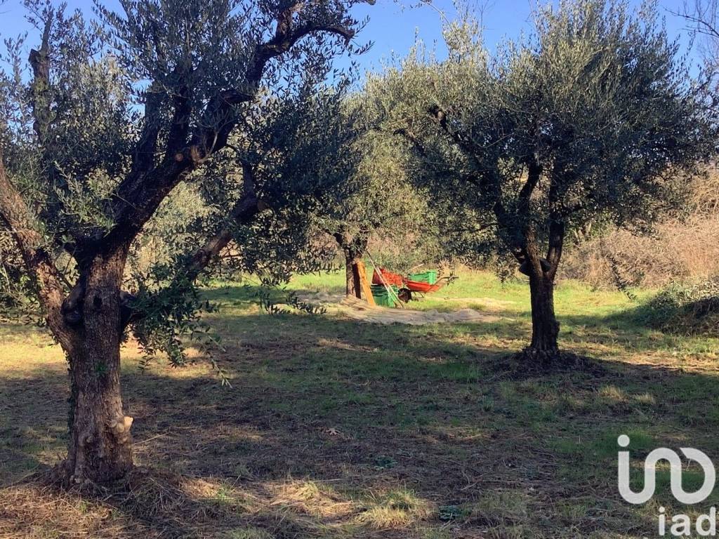 Terreno a Pistoia in Via Via della Quiete - Foto 4