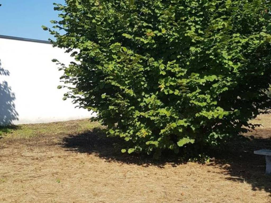 Terreno a Seregno in Via Pietro Nenni - Foto 2