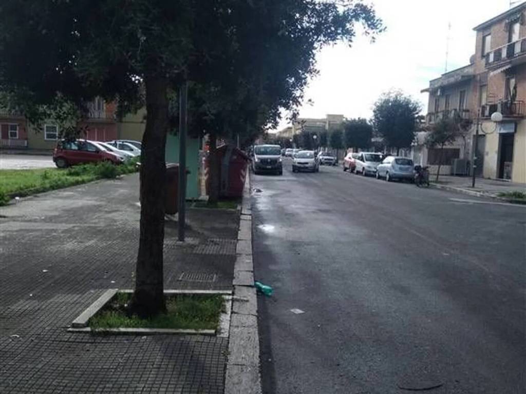 Terreno a Pontinia - Foto 5