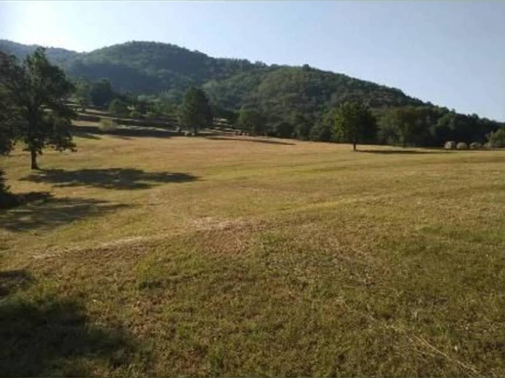 Terreno a Varese ligure in Località Taglieto - Foto 2