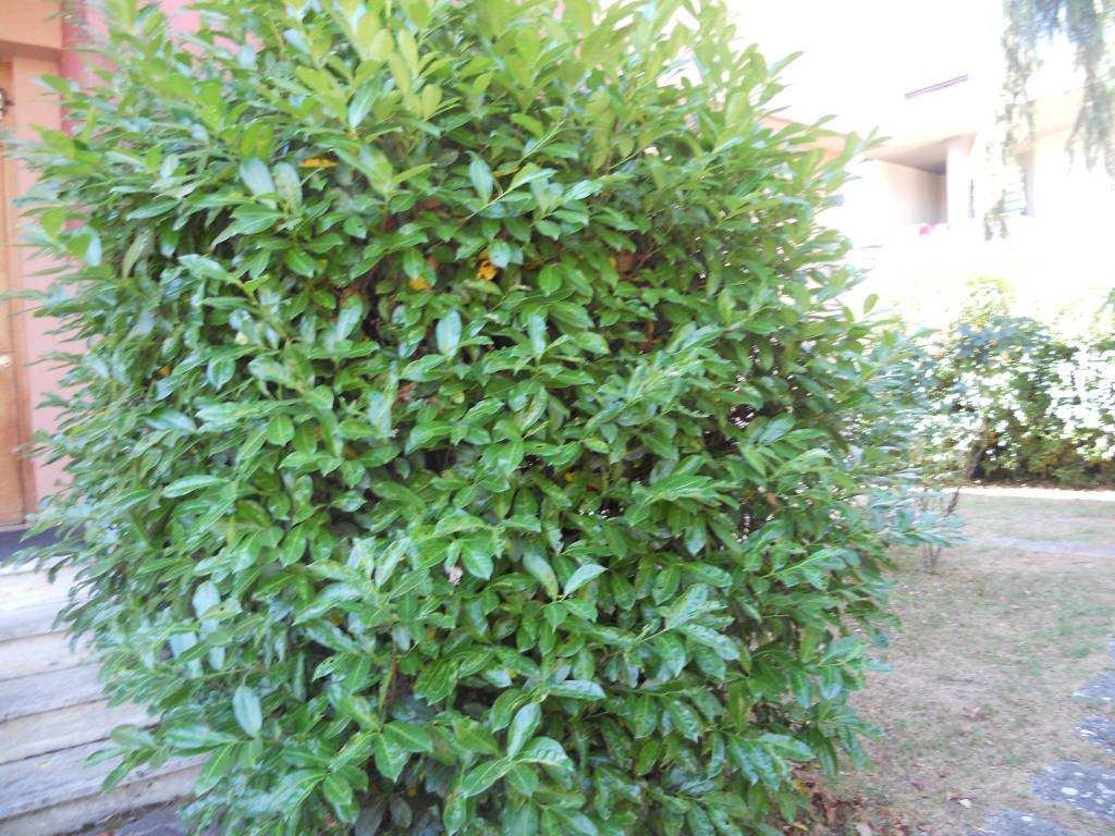 Villa a Avezzano - Foto 4