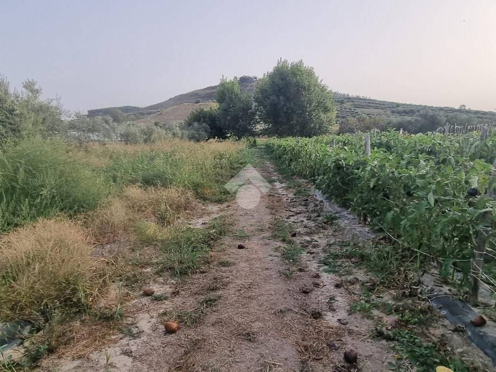 Terreno a Settingiano in Via Campo dei Fiori, 8 - Foto 4