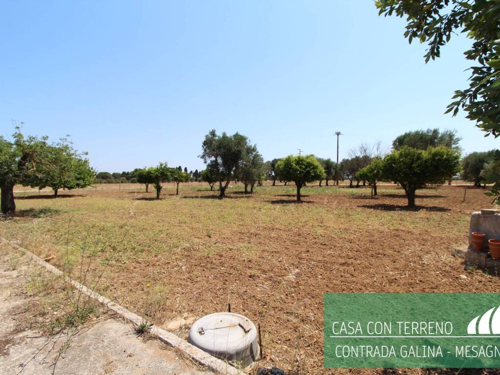 Casa indipendente a Mesagne - Foto 3