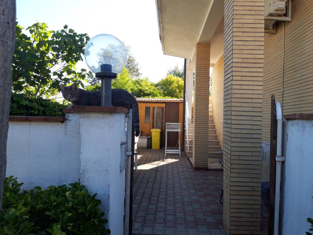 Appartamento a Terracina - Foto 5
