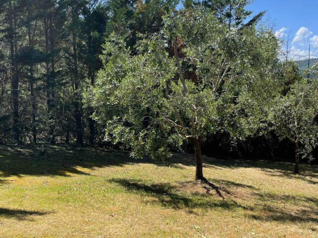 Villa a Ficulle in Strada Casella - Foto 4