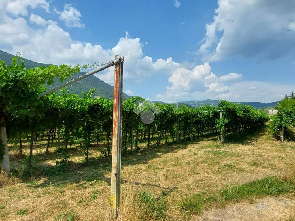 Terreno a Caprino veronese in PIAZZA STRINGA - Foto 2