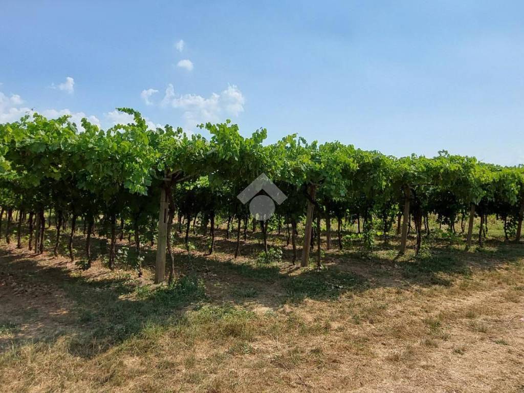 Terreno a Caprino veronese in PIAZZA STRINGA - Foto 4