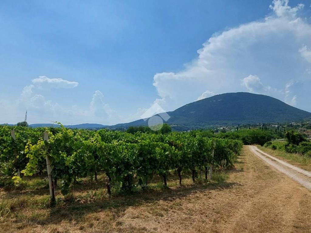 Terreno a Caprino veronese in PIAZZA STRINGA - Foto 5