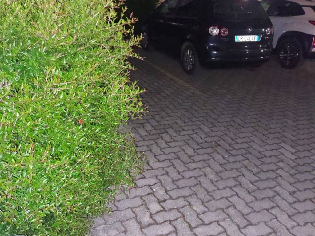 Appartamento a Vasto in Via Statale 16 Nord - Foto 5