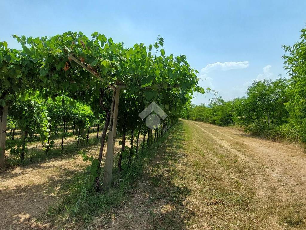 Terreno a Caprino veronese in PIAZZA STRINGA, 13 - Foto 4