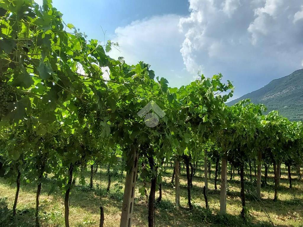 Terreno a Caprino veronese in PIAZZA STRINGA, 13 - Foto 5