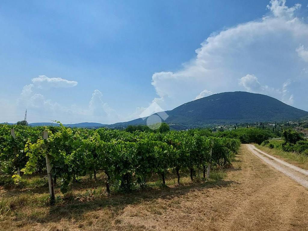 Terreno a Caprino veronese in Strada Ex Ferrovia - Foto 4