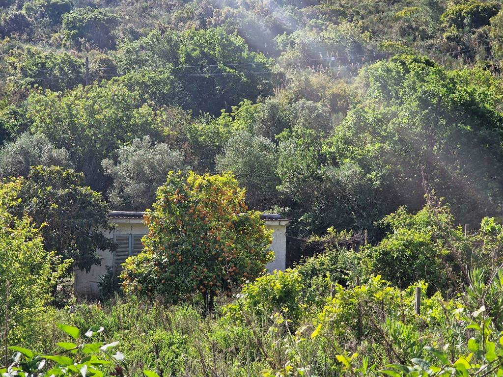 Rustico / casale a Monte argentario in Via Giovanni da Verrazzano - Foto 2