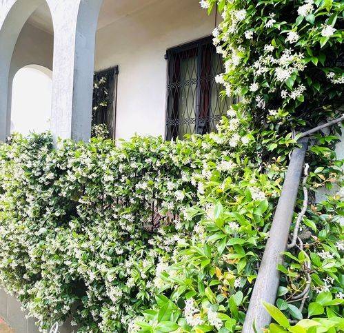 Villa a Monsummano terme in Viale Martini Vincenzo 192 - Foto 2