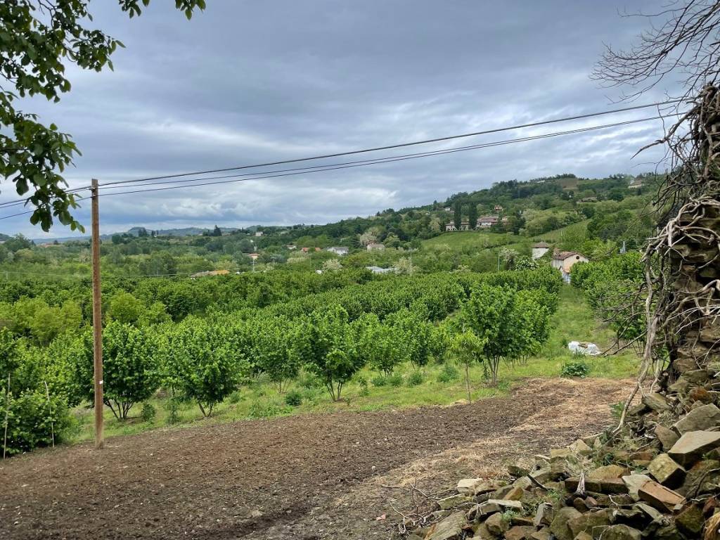 Rustico / casale a Santo stefano belbo in Località Robini, 42 - Foto 4