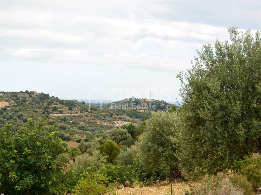 Terreno a Noto in C.da Saccollino - Foto 2