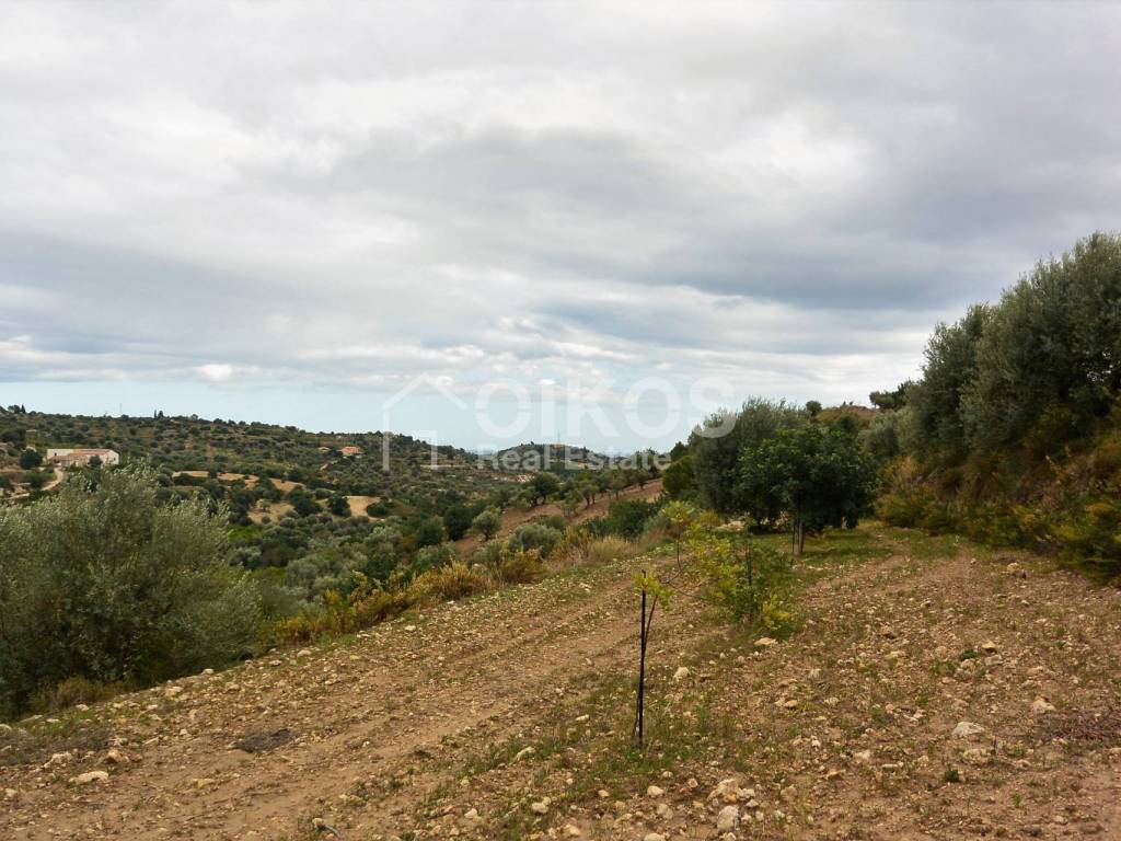 Terreno a Noto in C.da Saccollino - Foto 3