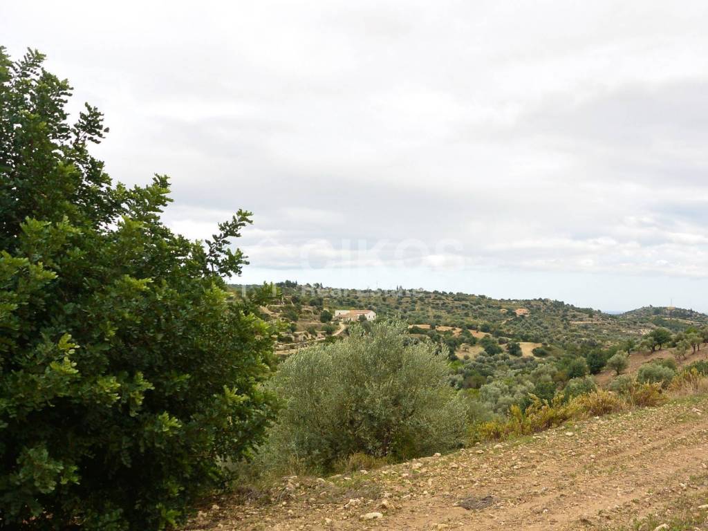 Terreno a Noto in C.da Saccollino - Foto 4