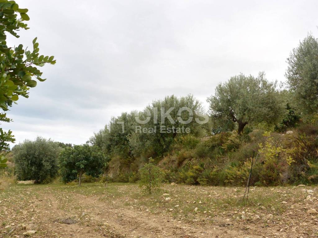 Terreno a Noto in C.da Saccollino - Foto 5