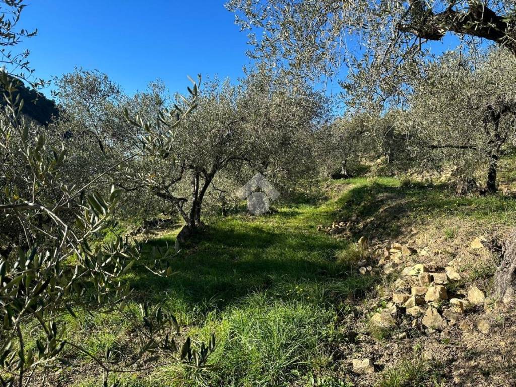 Terreno a Bordighera in Via San Sebastiano - Foto 2