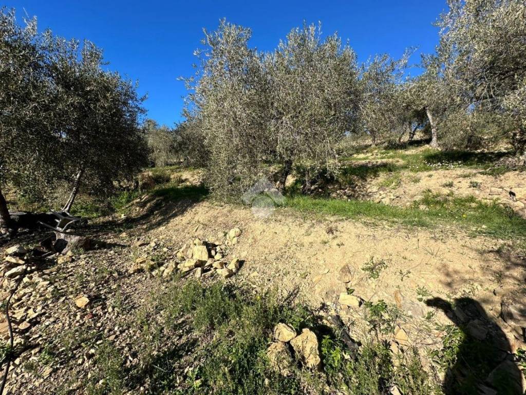 Terreno a Bordighera in Via San Sebastiano - Foto 3