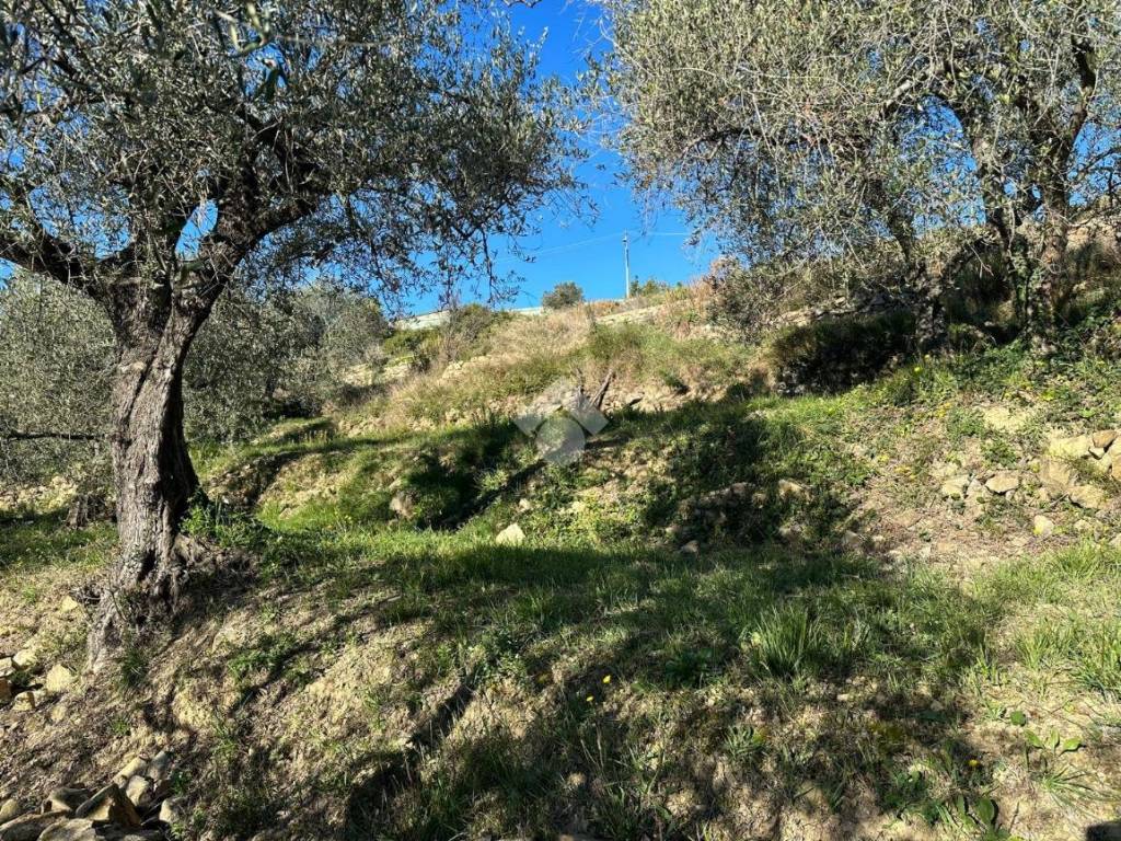 Terreno a Bordighera in Via San Sebastiano - Foto 4