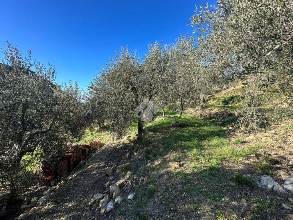 Terreno a Bordighera in Via San Sebastiano - Foto 5