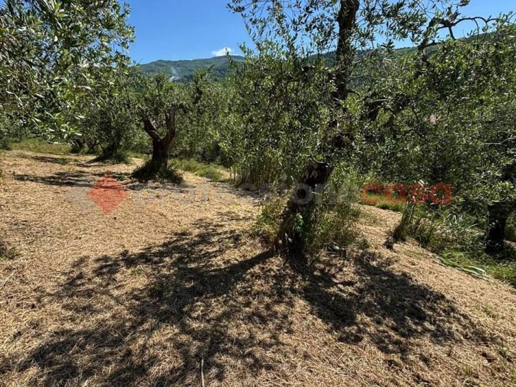Terreno a Pistoia in via de saturmana - Foto 2