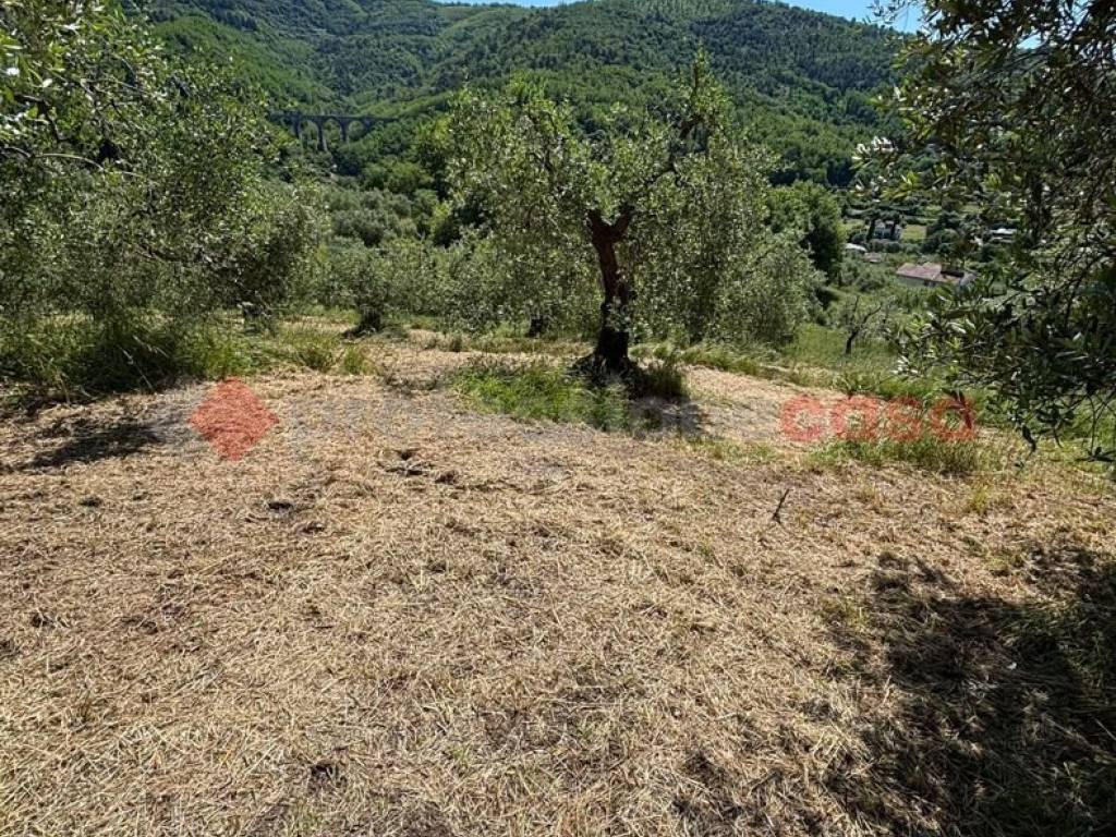 Terreno a Pistoia in via de saturmana - Foto 3
