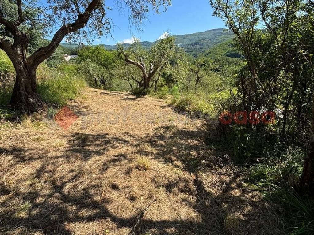 Terreno a Pistoia in via de saturmana - Foto 5