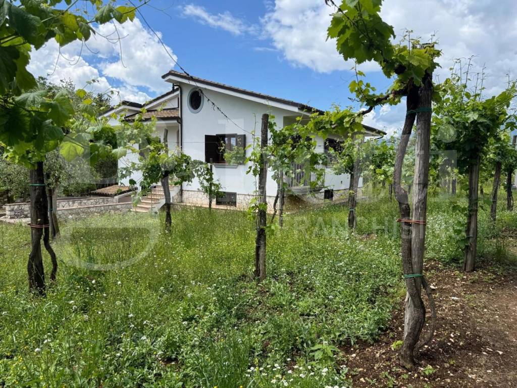 Villa a San potito sannitico in Via Sala , snc - Foto 2