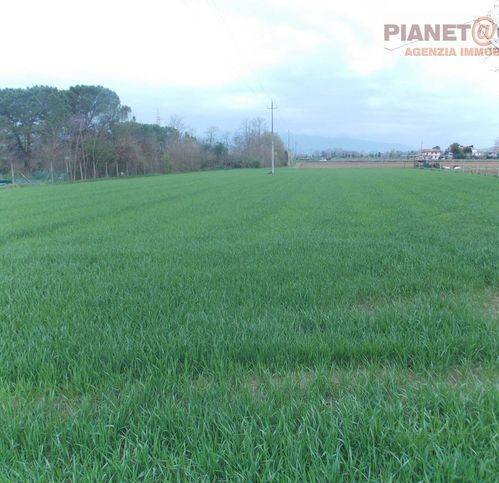 Terreno a Monsampolo del tronto in Contrada San Mauro - Foto 2
