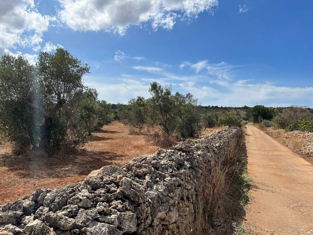 Terreno a Gallipoli in Località Monnittola - Foto 4