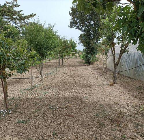 Rustico / casale a Castiglione della pescaia in Strada Comunale Di Piatto Lavato - Foto 2