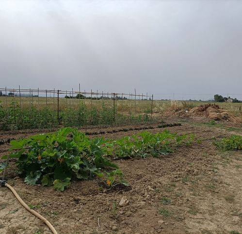 Rustico / casale a Castiglione della pescaia in Strada Comunale Di Piatto Lavato - Foto 3
