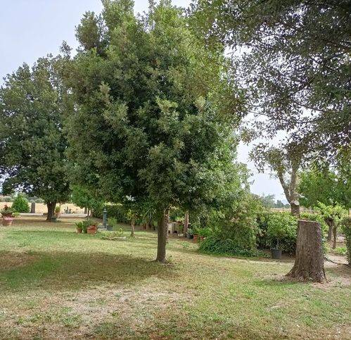 Rustico / casale a Castiglione della pescaia in Strada Comunale Di Piatto Lavato - Foto 4