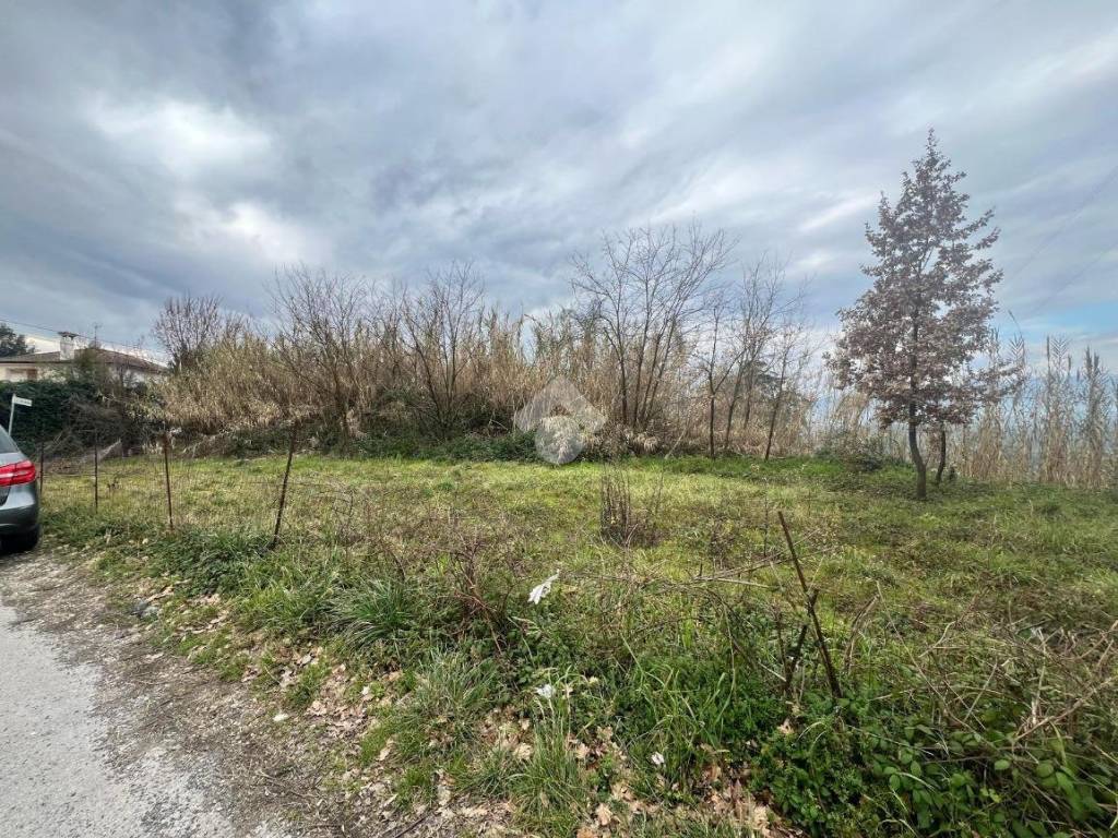 Terreno a Pofi in Via Monsignor Capozzi - Foto 2